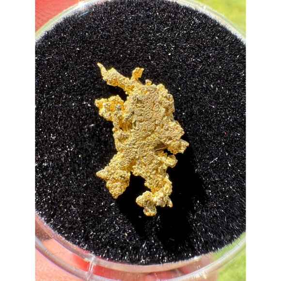 California Native Gold Crystal - 0.77 grams - Picture 4 of 5